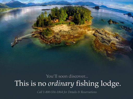 Talon Lodge – Email Design